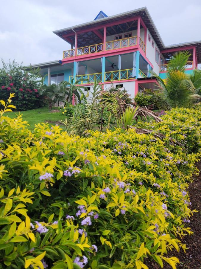 321 Surprise Beach House And Glamping Archibolds Bagian luar foto